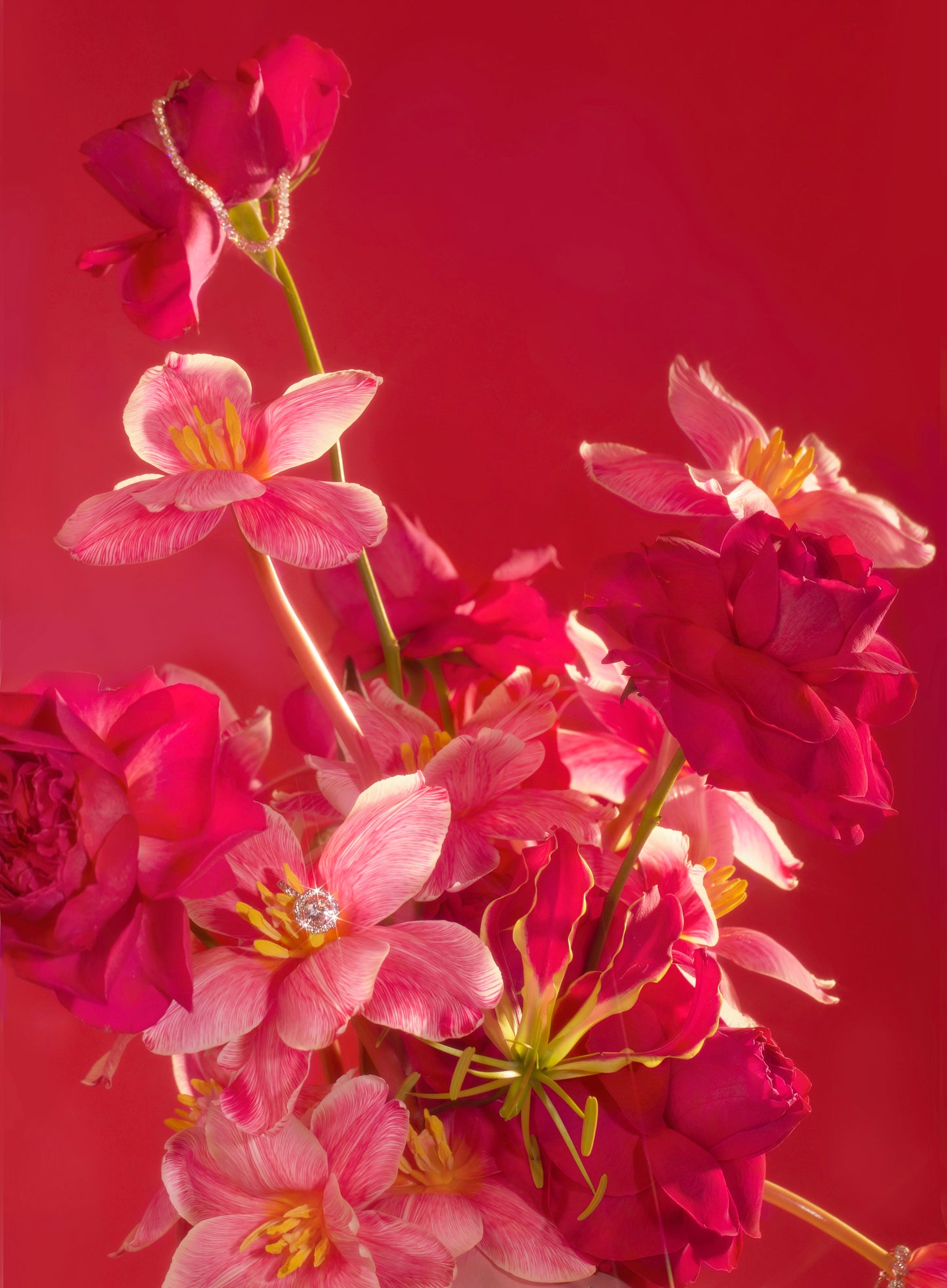 Red Bloom Print