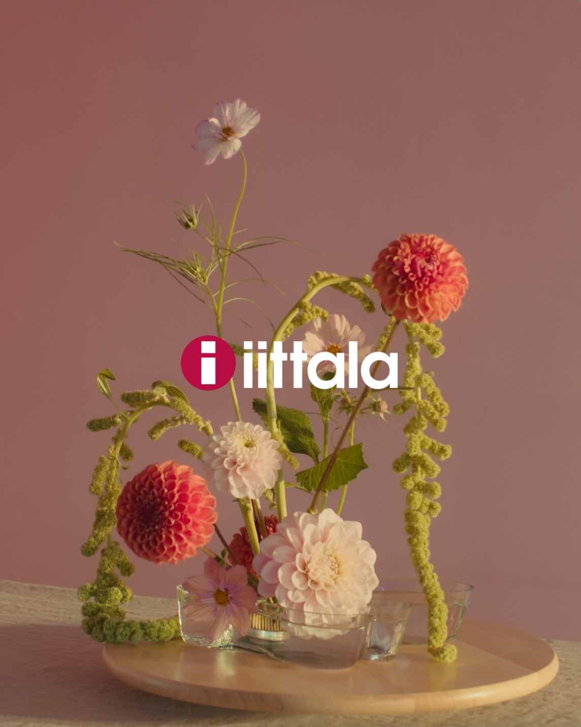 Load video: Inspirational flowers videos created around Iittala&#39;s Aalto vases